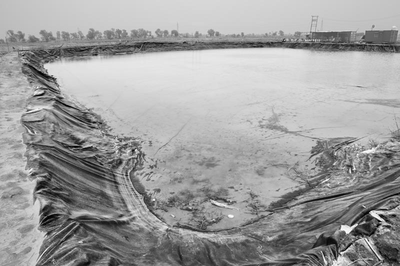 Shrimp Farming in Saline Agricultural Fields in Haryana - PVC plastic lining in a shrimp  farming pond